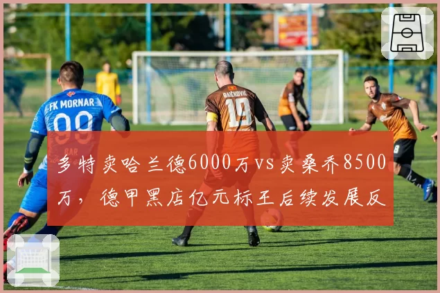 多特卖哈兰德6000万vs卖桑乔8500万,德甲黑店亿元标王后续发展反差