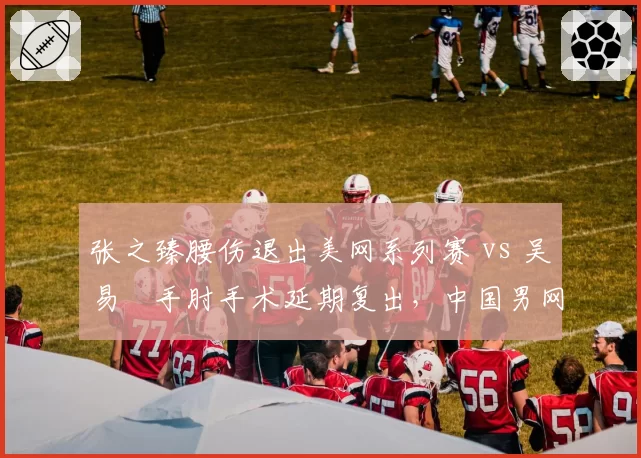张之臻腰伤退出美网系列赛 vs 吴易昺手肘手术延期复出,中国男网伤病潮蔓延