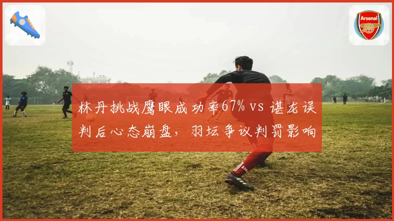 林丹挑战鹰眼成功率67% vs 谌龙误判后心态崩盘,羽坛争议判罚影响几何