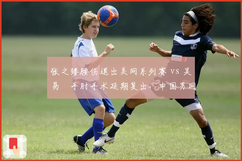 张之臻腰伤退出美网系列赛 vs 吴易昺手肘手术延期复出，中国男网伤病潮蔓延