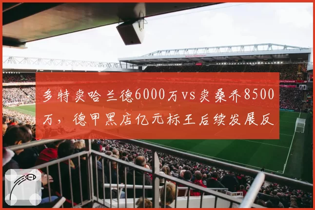 多特卖哈兰德6000万vs卖桑乔8500万,德甲黑店亿元标王后续发展反差
