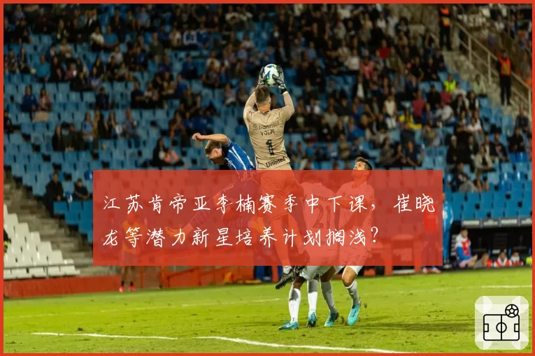 江苏肯帝亚李楠赛季中下课,崔晓龙等潜力新星培养计划搁浅?