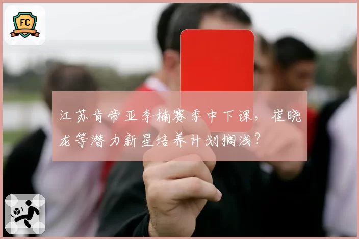 江苏肯帝亚李楠赛季中下课,崔晓龙等潜力新星培养计划搁浅?